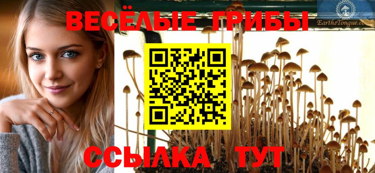 Коломна  Псилоцибиновые грибы мухоморы  Вход с VPN 