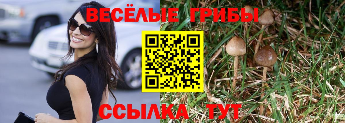 Псилоцибиновые грибы MAGIC MUSHROOMS Коломна